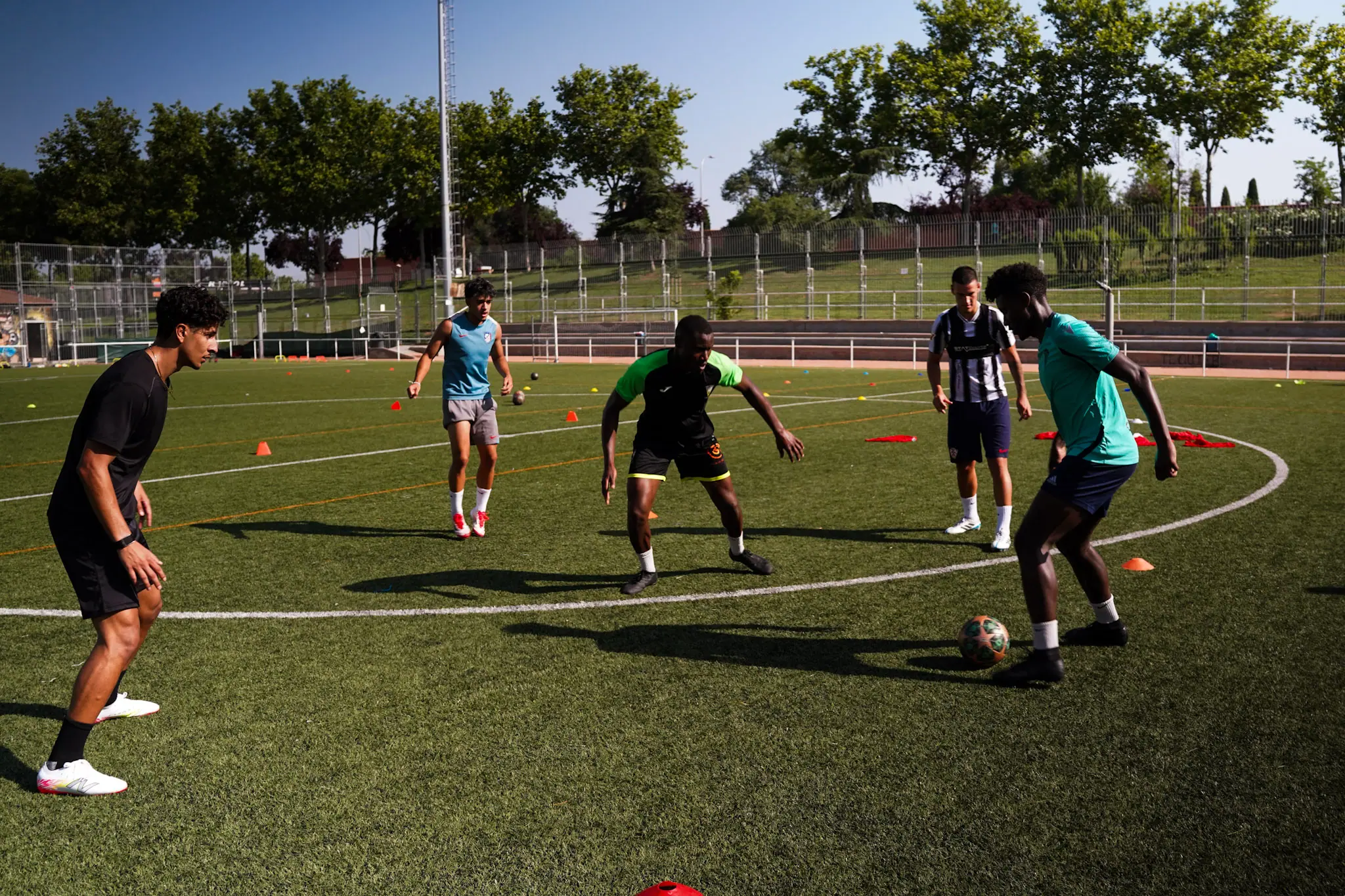 Trabajo en campo